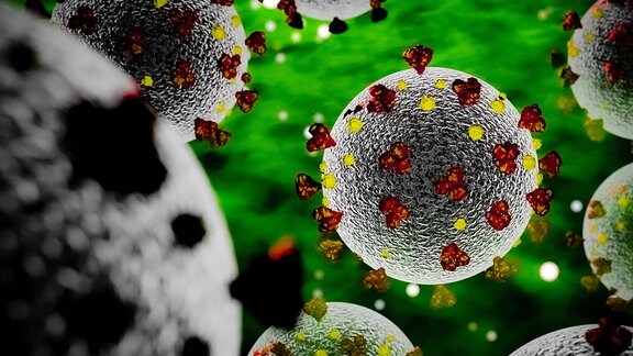 Einzigartige Stelle Auf Dem Virus Macht Sars-CoV-2 So Gefährlich | MDR.DE