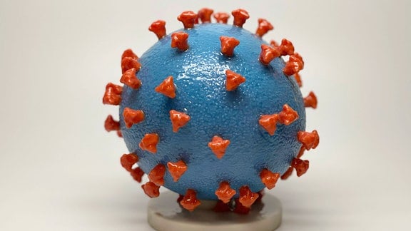 Modell Coronavirus