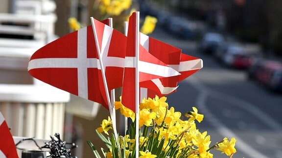 Dänemark-Fähnchen in einem Blumenkasten