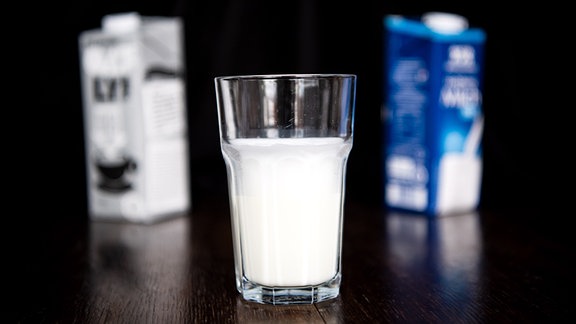 Ein Glas mit Milch steht zwischen einer Packung Kuhmilch und einer mit einer pflanzlichen Milch-Alternative auf einem Tisch.