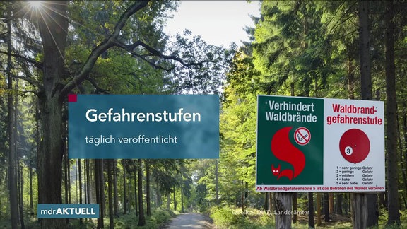 Ein Waldweg mit einer Infotafel für Waldbrandgefahrenstufen, dazu die Einblendung "Gefahrenstufen – täglich veröffentlicht"