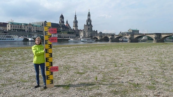Dresden 2015: Dürre herschte in dem letzten Jahrzehnt an der Elbe 