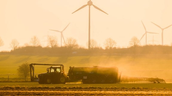 Mit einem Traktor wird 2022 bei Sonnenaufgang ein Feld mit Gülle gedüngt.
