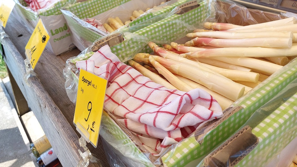 Erster Spargel aus SachsenAnhalt im Verkauf Preise bleiben stabil