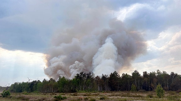 Rauch steigt aus einem Waldstück nahe Jüterbog in die Höhe.