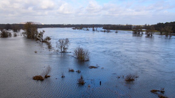 Polderflächen stehen an der Elbe unter Wasser.
