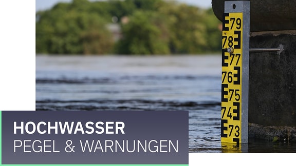 Ein Pegelstandsanzeiger in einem Hochwasser führenden Fluss, dazu der Schriftzug "Hochwasser – Pegel & Warnungen"