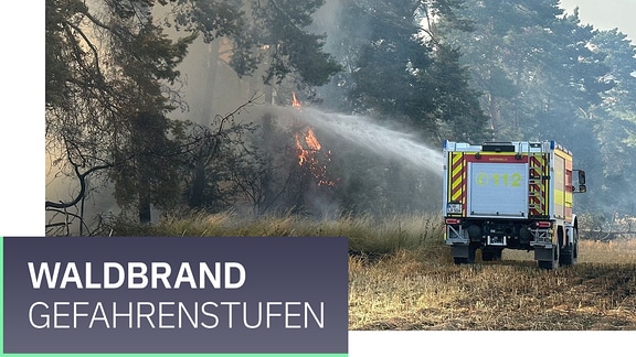 Ein Löschfahrzeug löscht von einem Feld aus Bäume eines Waldes. Dazu der Schriftzug "Waldbrand-Gefahrenstufen".