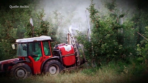 Ein roter Traktor bespüht Bäume.