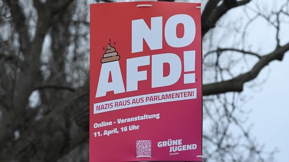 Ein Plakat mit der Aufschrift: No Afd! ( Grüne Jugend Dresden )