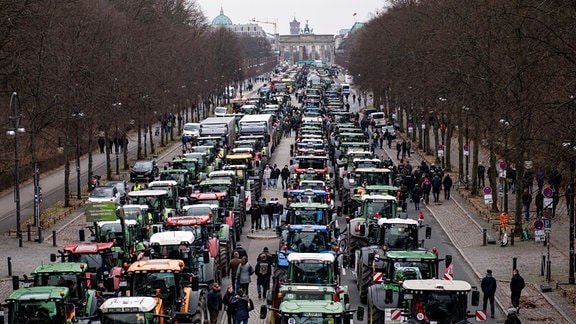 Landwirte nehmen mit Traktoren an einer Demonstration des Deutschen Bauernverbandes unter dem Motto «Zu viel ist zu viel! Jetzt ist Schluss!» vor dem Brandenburger Tor teil.