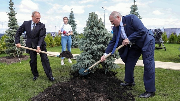 Der russische Präsident Wladimir Putin und Belarus Präsident Alexander Lukashenko pflanzen einen Baum am 30.06.2020