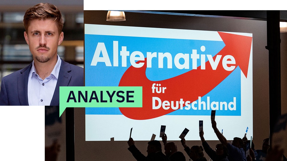 Erwartbar erfolgreich: Die AfD im Umfragehoch | MDR.DE