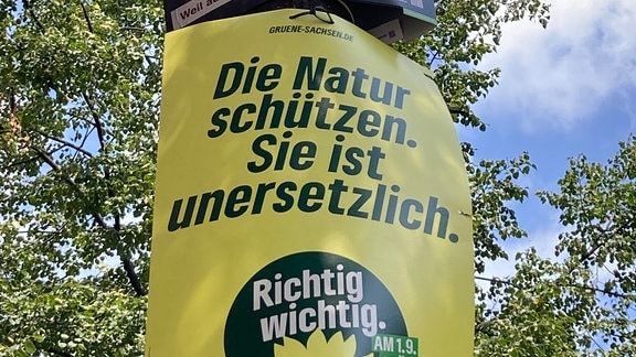 Wahlplakate an einer Straßenlampe