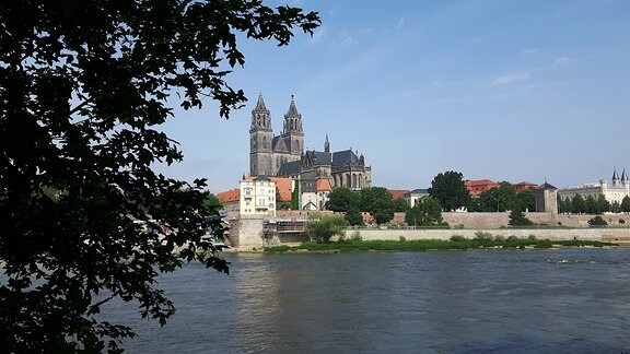 Blick über die Elbe auf den Dom von Magdeburg.