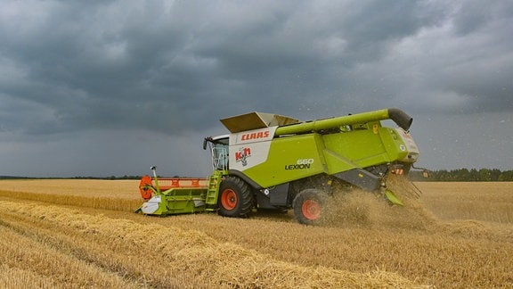 Dunkle Gewitterwolken ziehen über ein Feld, wo gerade ein Landwirt mit seinem Mähdrescher Wintergerste erntet.