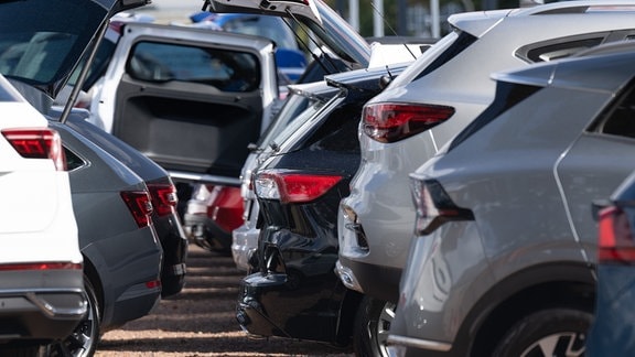 Neuwagen und Gebrauchtwagen stehen bei einem Autohändler nebeneinander