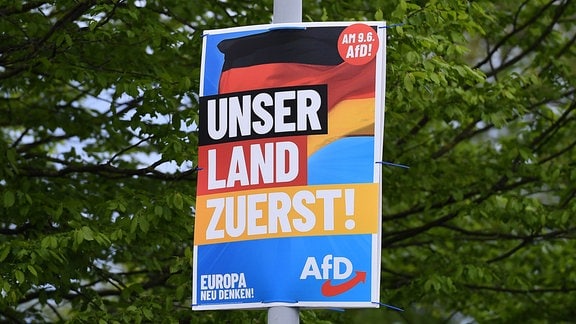 AfD-Wahlplakat zur Europawahl