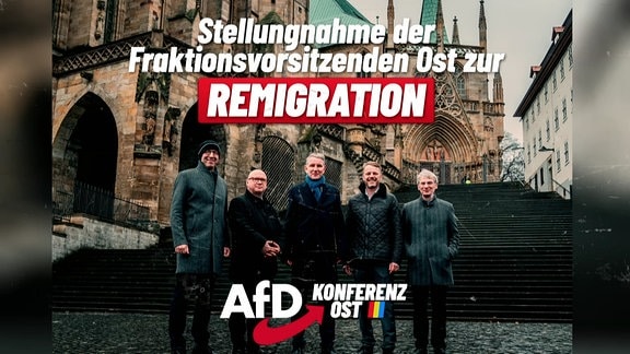 Die Fraktionschefs der AfD in den ostdeutschen Ländern. 