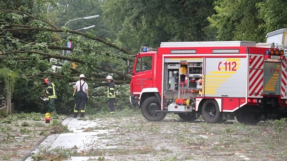 Feuerwehr räumt umgestürzten Baum von einer Straße.