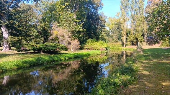 Flusslauf und Vegetation im Wörlitzer Park