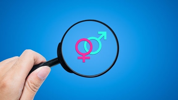 Grafik mit einer Lupe über den Gender-Symbolen für weiblich und männlich