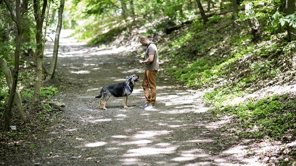 Mann geht mit Hund im Wald spazieren, 