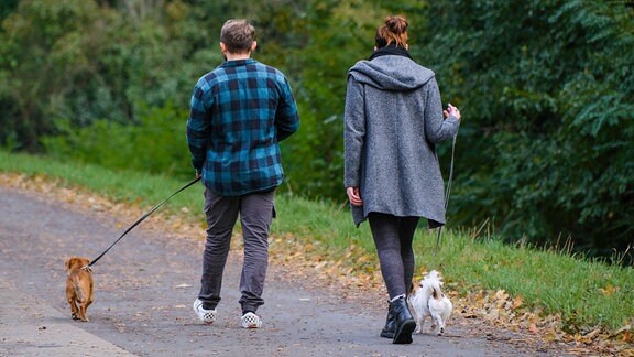 Zwei Personen gehen mit zwei Hunden Gassi.