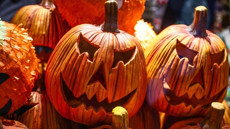 Halloween in SachsenAnhalt Tipps für einen Ausflug am Feiertag MDR.DE