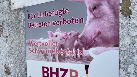 "Für Unbefugte Betreten verboten - wertvoller Schweinebestand" steht auf einem Schild.