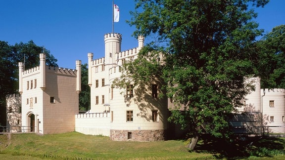Ein als Jagdschloss Letzlingen bekanntes helles historisches Gebäude mit mehreren Türmen steht in einem Park.