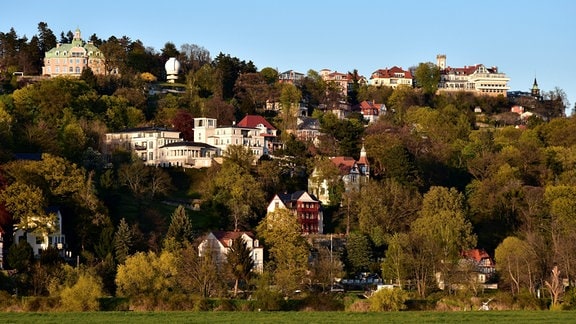 Blick auf den Dresdner Villenstadtteil Loschwitz und Oberloschwitz mit Luisenhof (r) und der Sternwarte der Ardenne-Villa von der Elbwiese aus gesehen.