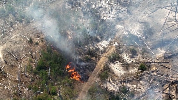 Eine Aufnahme einer Drohne zeigt einen Waldbrand in einem munitionsbelasteten Gebiet bei Jüterbog