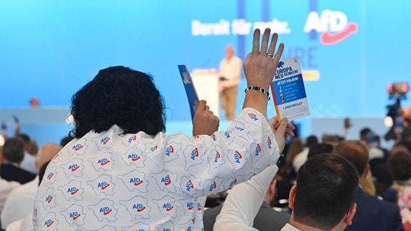 AfD-Parteitag, AfD, Bundesparteitag, Magdeburg