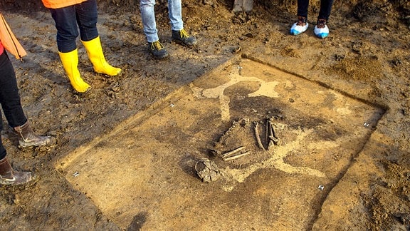 Archäologen vom Landesamt für Denkmalpflege und Archäologie Sachsen-Anhalt und Medienvertreter stehen an einem 4500 Jahre alten Grab aus der Zeit der Schnurkeramik-Kultur. 