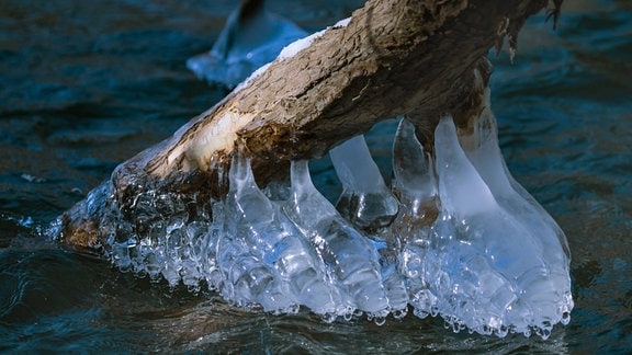 Eisstrukturen an einer Wurzel im Wasser