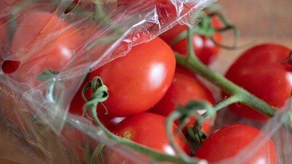 Tomaten liegen 2019 in einer Plastikverpackung.