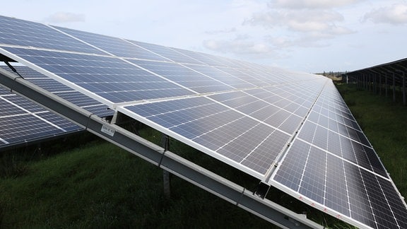 Photoelektrische Module in einem Solarpark in Hanstholm (Dänemark). Die Solarpanels gehören zu den erneuerbaren Energiequellen, mit denen das europäische Rechenzentrum von Apple in Viborg betrieben wird.
