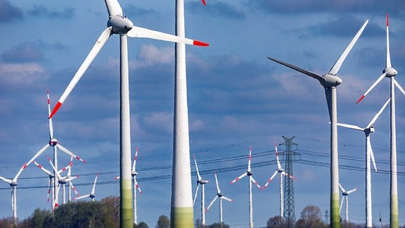 Rapsfeld in voller Blüte vor Windkraftanlagen bei Büsum an der Nordseeküste