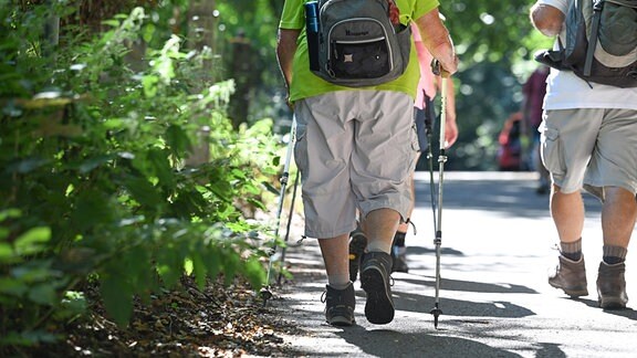 Mehrere wandernde Menschen mit Wanderstöcken.