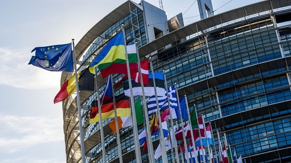 Die Flaggen der Europäischen Union, der Ukraine und der Mitgliedsstaaten der EU wehen vor dem Gebäude des Europäischen Parlaments in Straßburg. 