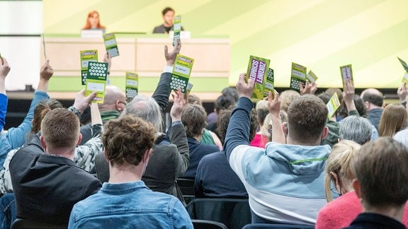 Abstimmung im Grünen-Länderrat in Düsseldorf