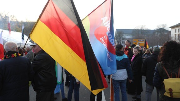 Anhänger von u.a. AFD, Freies Thüringen, Freien Sachsen und Pegida demonstrierten vor dem Thüringer Landtag Erfurt.
