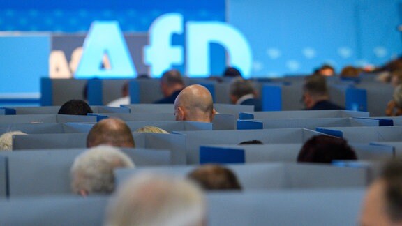 Delegierte der AfD Europawahlversammlung wählen hinter ihren individuellen Wahlkabinen. 