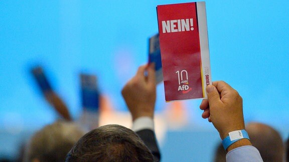 Delegierte der AfD Europawahlversammlung heben ihre Stimmkarten.