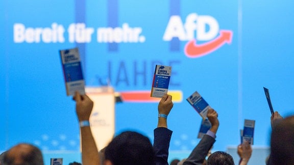 Delegierte der AfD Europawahlversammlung heben ihre Stimmkarten.