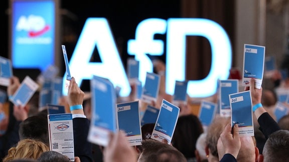 Delegierte stimmen auf dem Landesparteitag der AfD Sachsen-Anhalt in Magdeburg ab.
