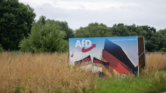Ein Wahlplakat der AfD steht in einer Wiese bei Bitterfeld. 