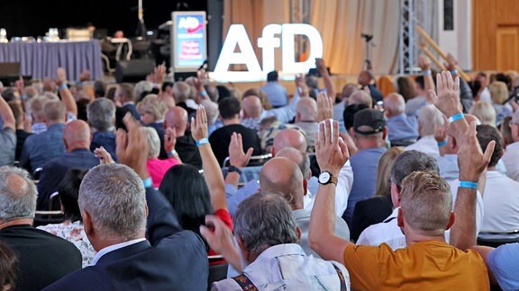 Teilnehmer des Landesparteitags der AfD Sachsen-Anhalt bei der Probe-Abstimmung.