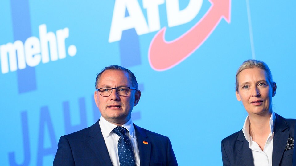 AfD nie chce powtarzać listy kandydatów w wyborach europejskich
